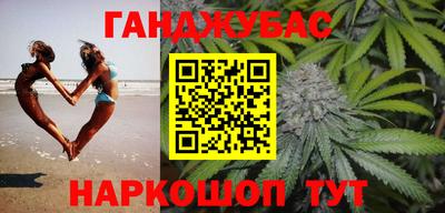 дмт Будённовск
