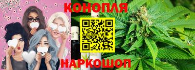 дмт Будённовск