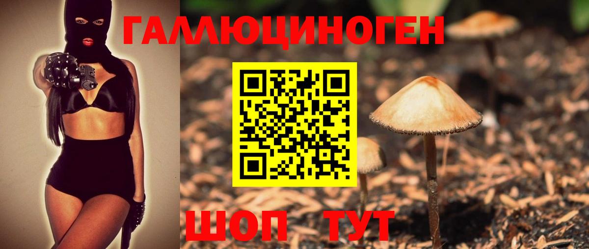 продажа наркотиков  Вход с VPN  Строитель  Псилоцибиновые грибы Psilocybine cubensis 